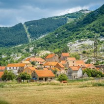 Njeguši