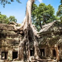 Ta Prohm