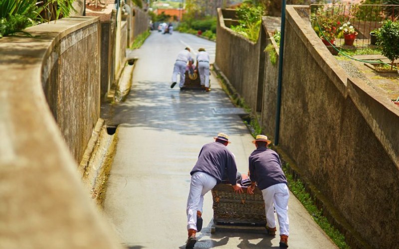 5 Things to Do in Madeira