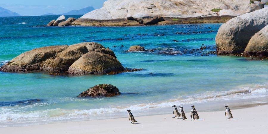 Who is a Guided Tour Suitable For - Hassle Free.jpg.jpg