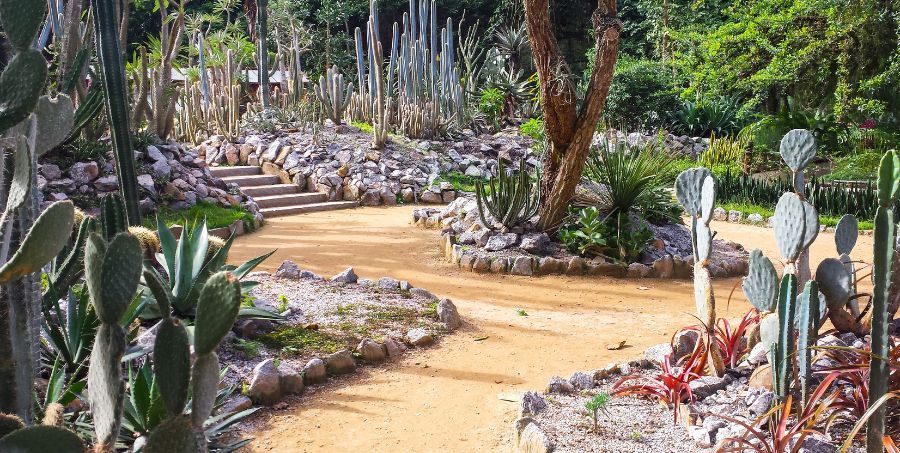 Explore Botanical Gardens in Rio de Janeiro.jpg