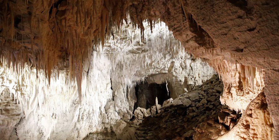 Ruakuri Caves - Top landscapes in the world.jpg