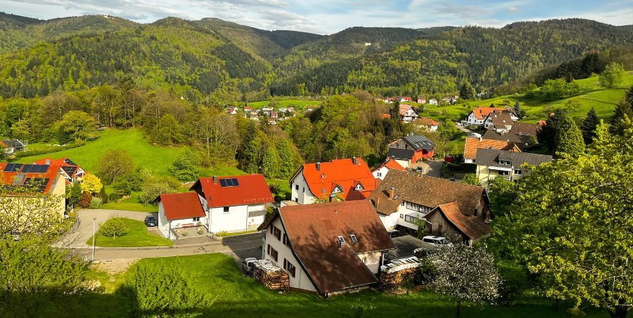 Black Forest National Park - Top landscapes in the world.jpg