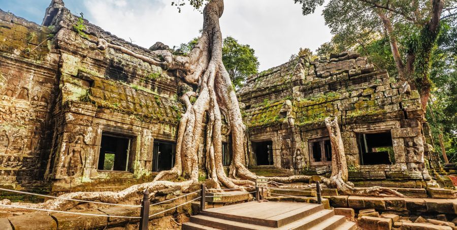 Ta-Prohm-Temple-Angkor-Watt-Cambodia.jpg