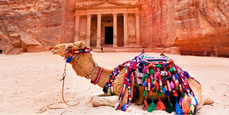 petra-jordan-camel.jpg