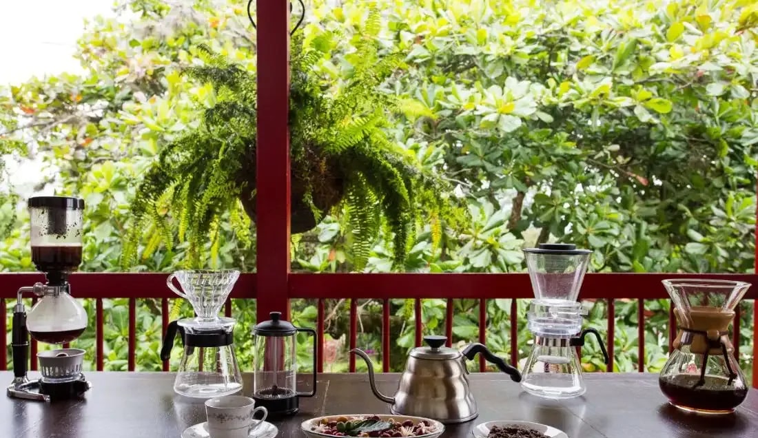 Learn about the art of Colombian coffee