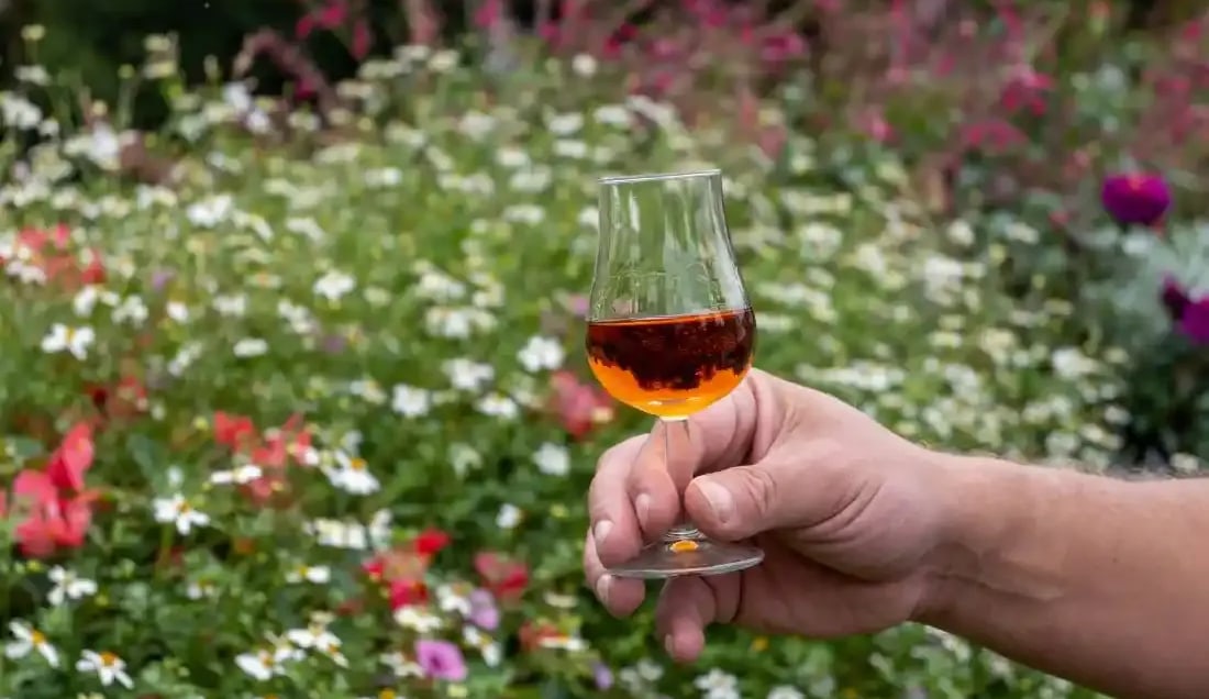 Enjoy Cognac Tasting