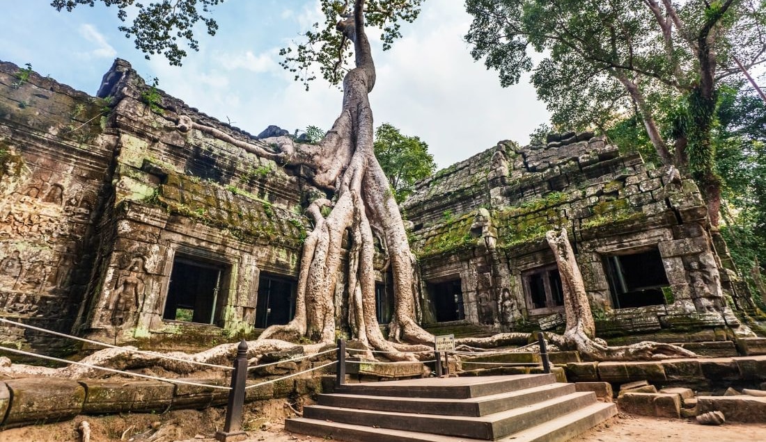 Discover Ta Prohm at Angkor Wat Complex