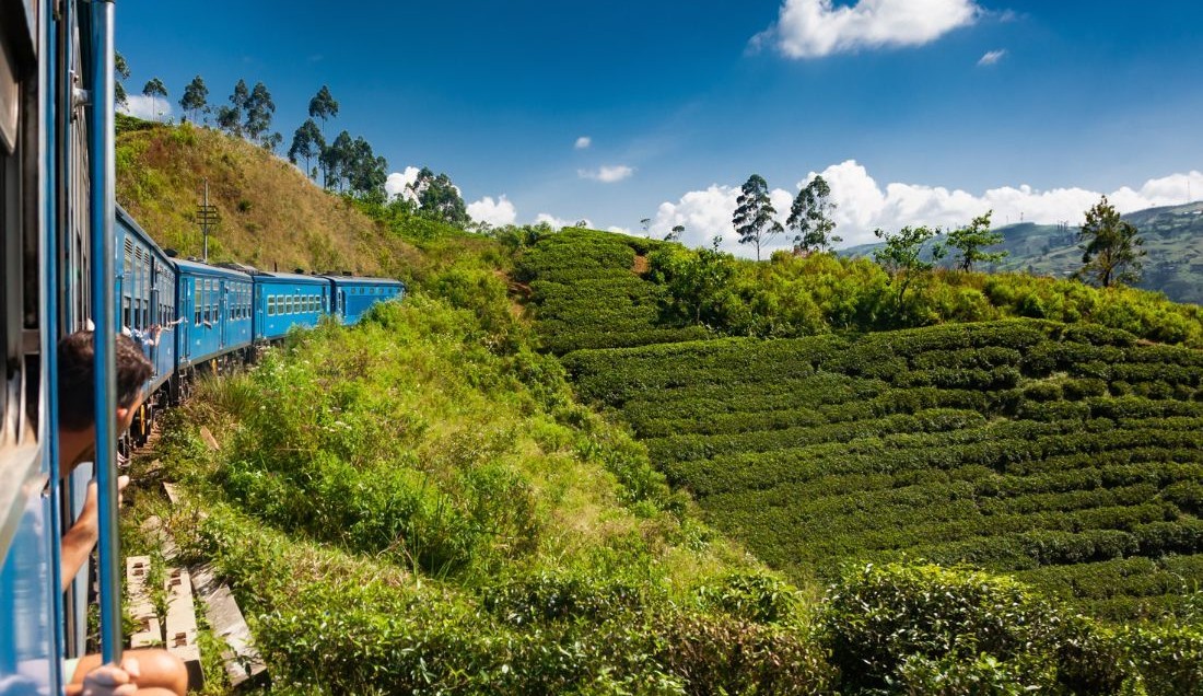Enjoy a scenic train journey from Kandy to Nurwara Eliya