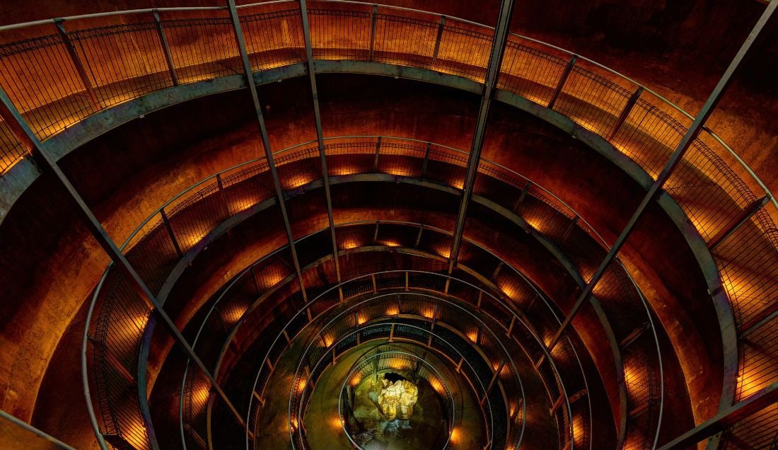 See the best of Auckland