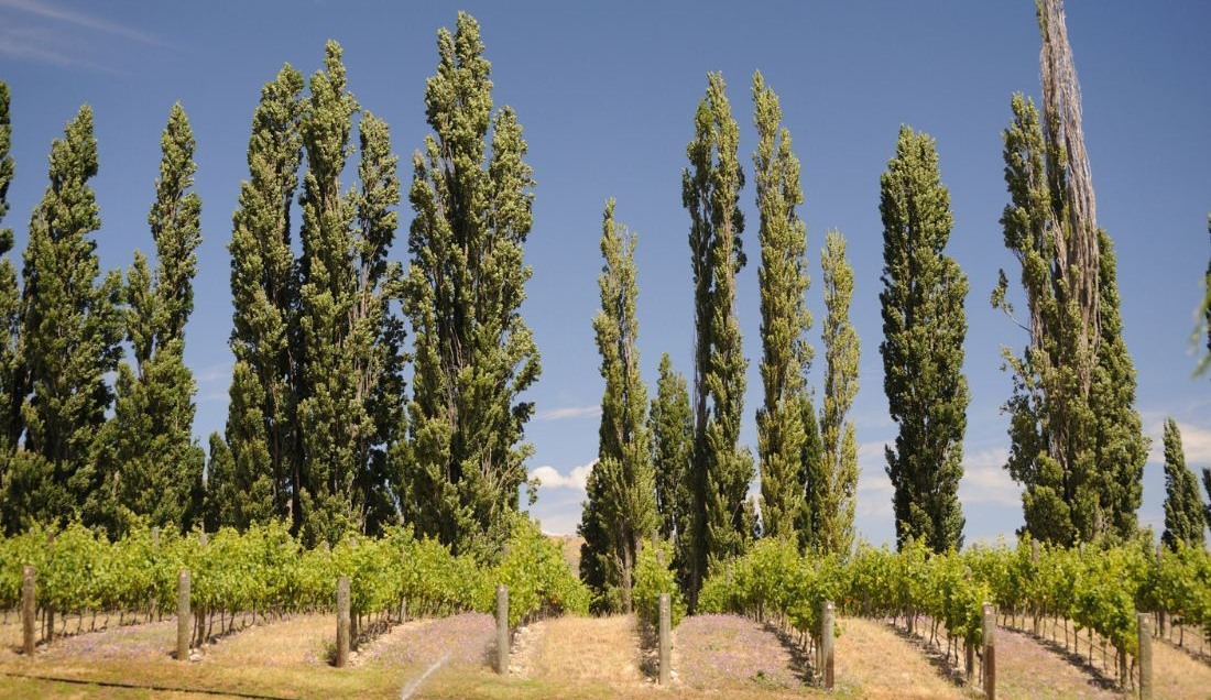 Visit Blue Mountains National Park Australia