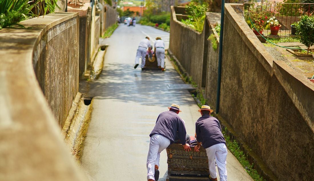 Experience the famous Wicker sledges!