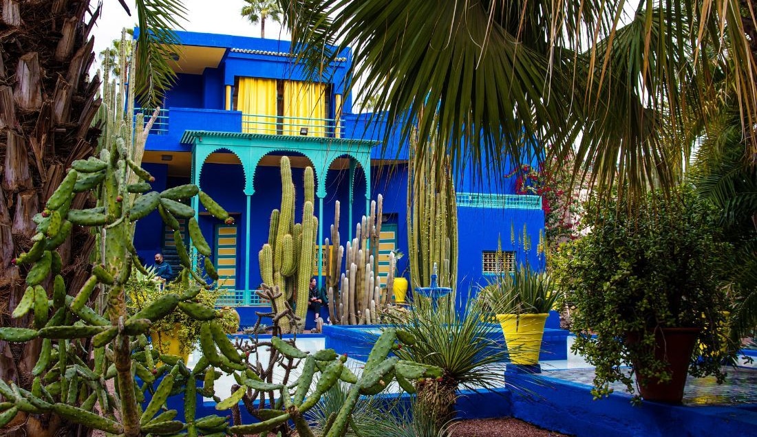 Visit the colourful Majorelle Gardens