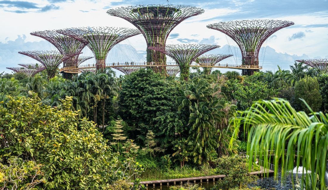 See Singapore’s renowned Supertree Grove – where nature meets futuristic design.