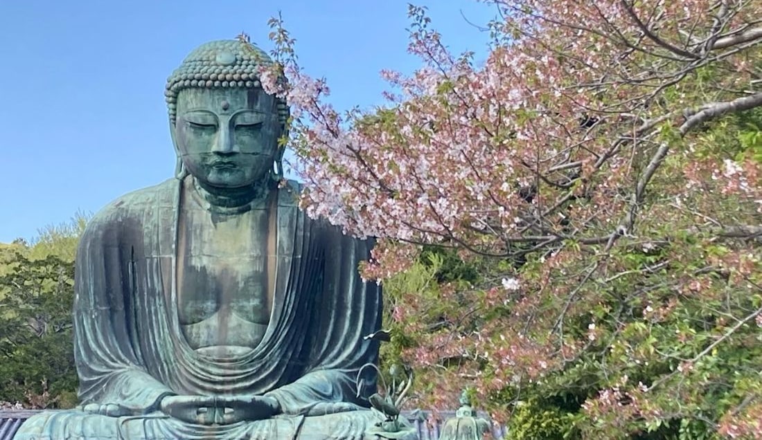 See the Great Buddha of Kamakura