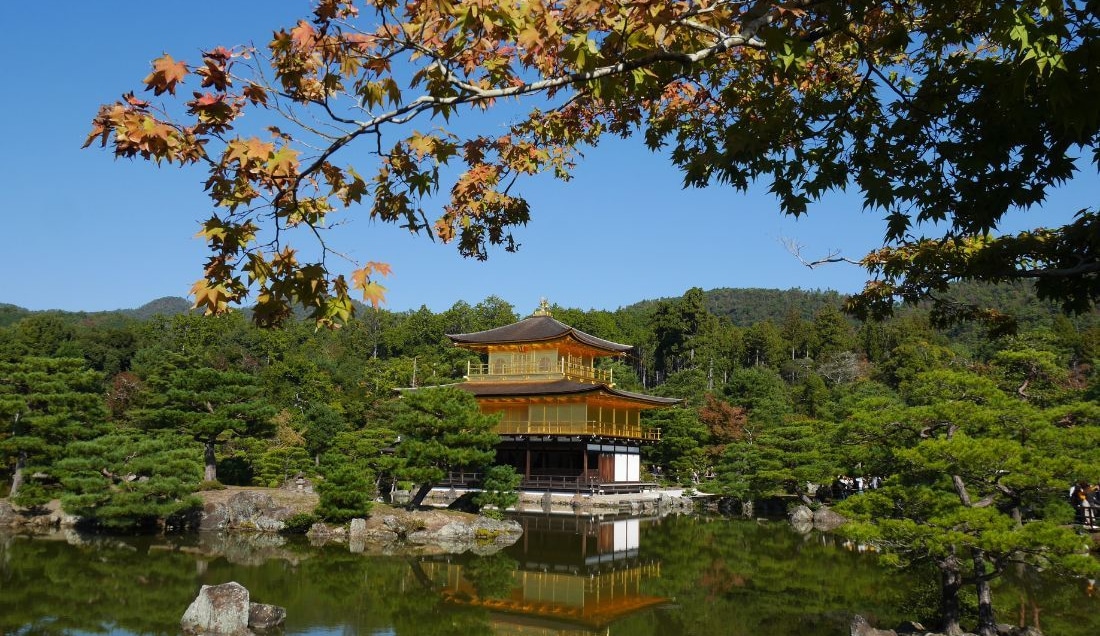 Discover the tranquil Kinkaku-ji - The Golden  Pavilion