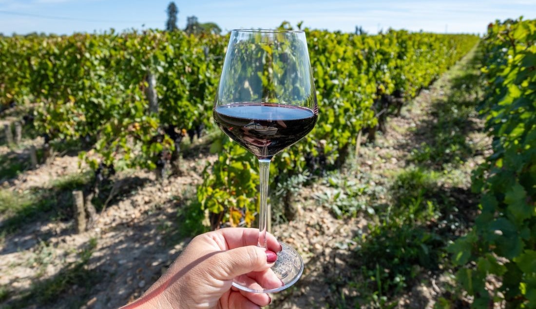 Enjoy world-class wine in Saint-Émilion