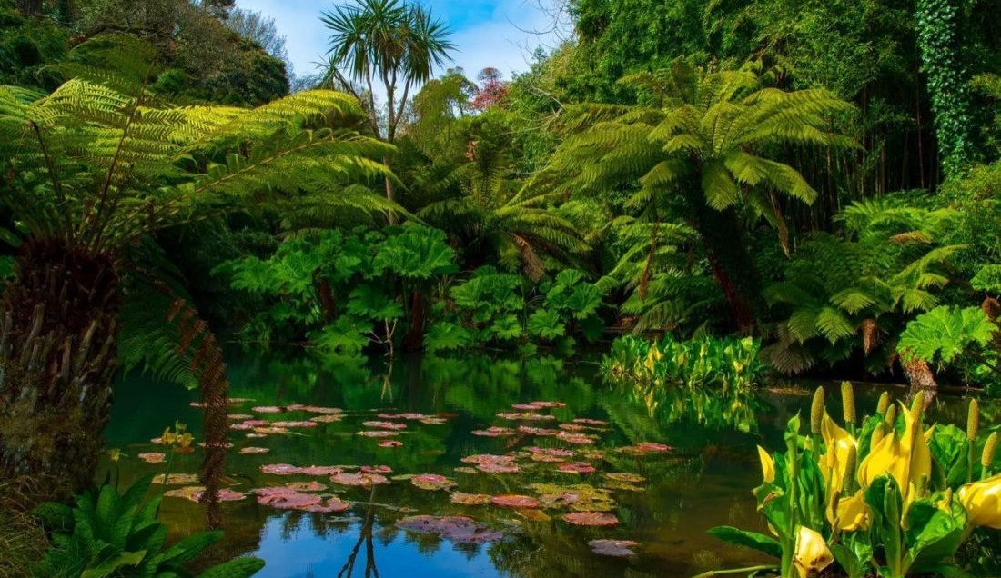 Explore the Lost Gardens of Heligan