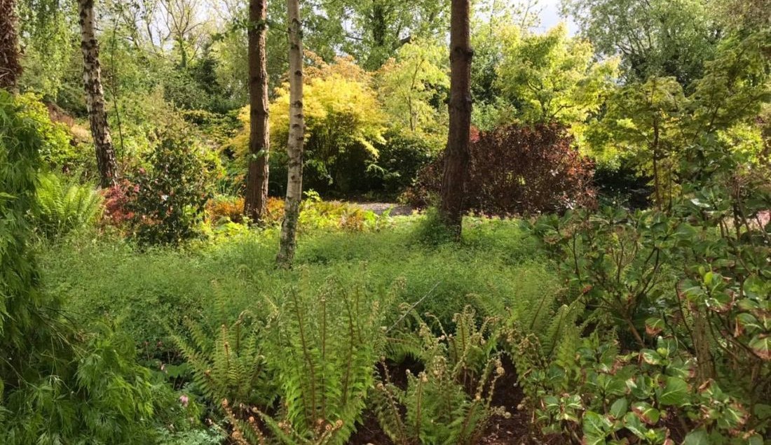 Explore Ratoath Garden Centre