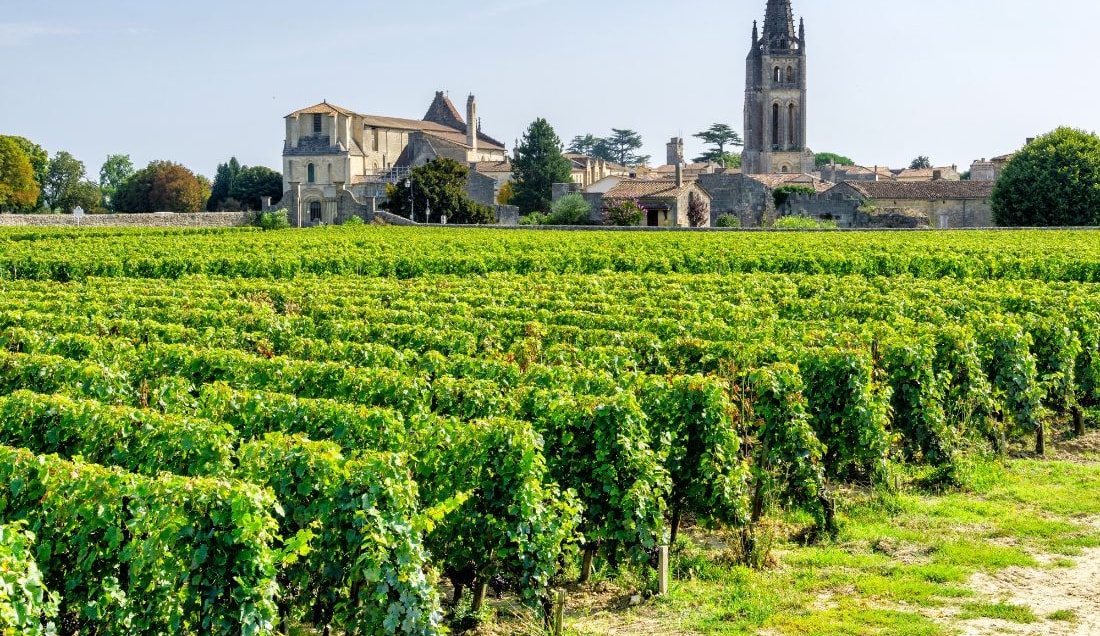 Visit the vineyards of Saint-Émilion