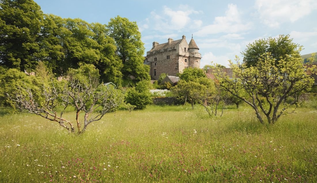 Explore Falkland Palace and its orchard gardens.