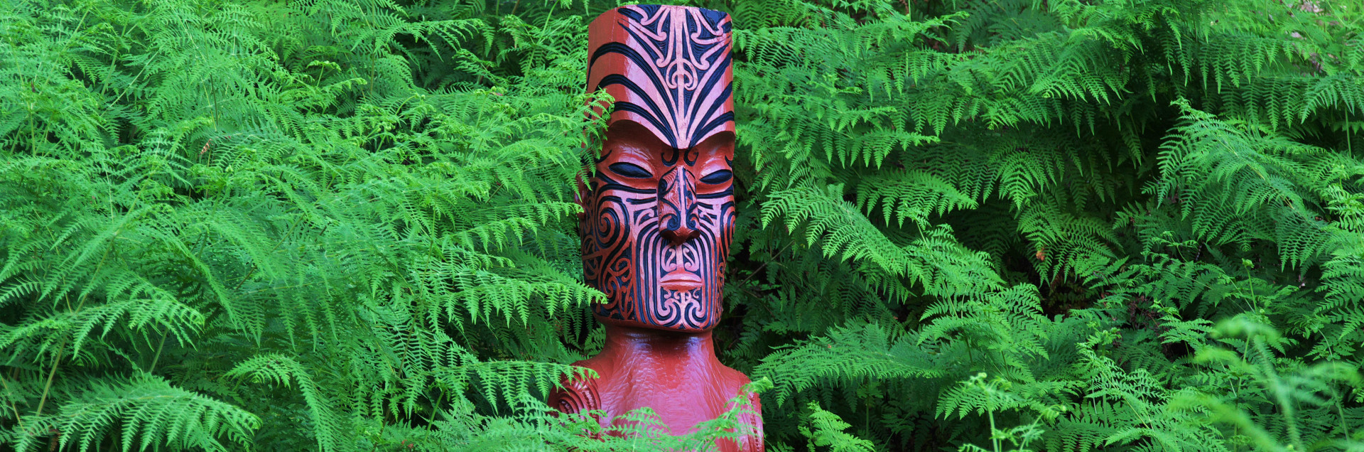 Learn the traditions and stories of Māori heritage.