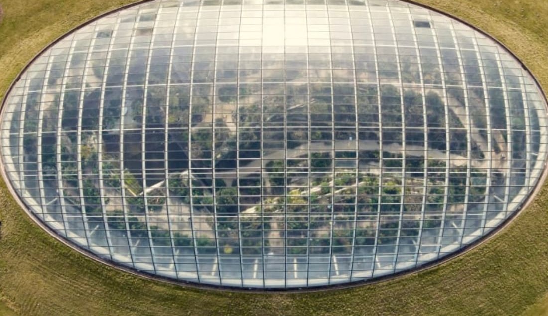 Explore the National Botanic Garden of Wales and its remarkable glasshouse.