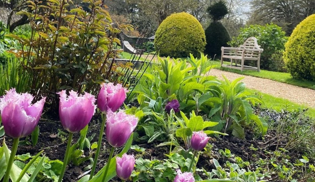 Discover Upton Castle Gardens in the Pembrokeshire Coast National Park.