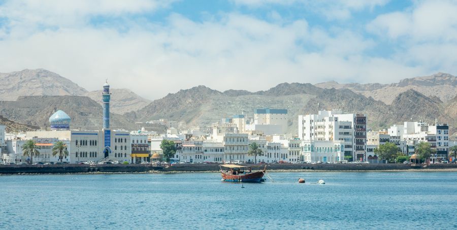 Take in the views of Muscat city and its coastline on a cruise.