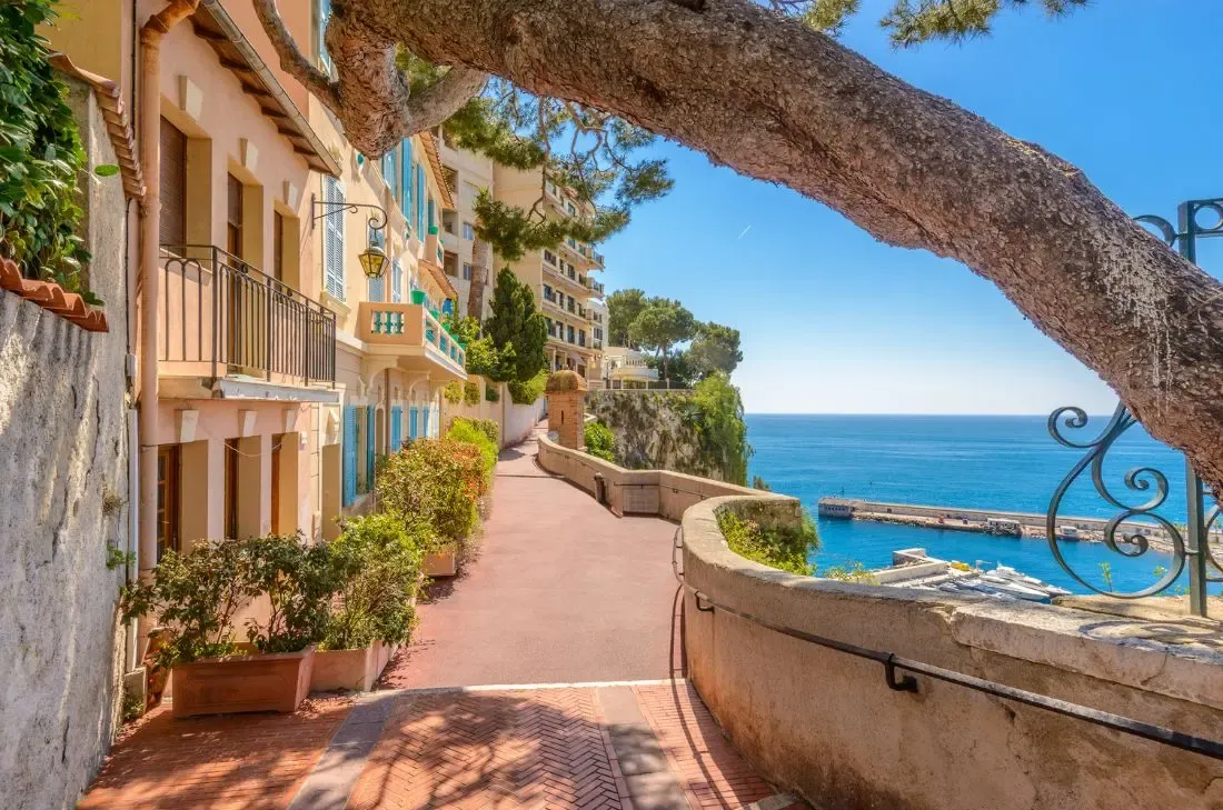 tourhub | Travel Department | Cannes & the Cote d'Azur 