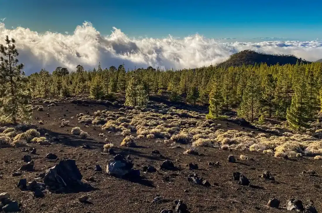 tourhub | Travel Department | Tenerife Walking Holiday 