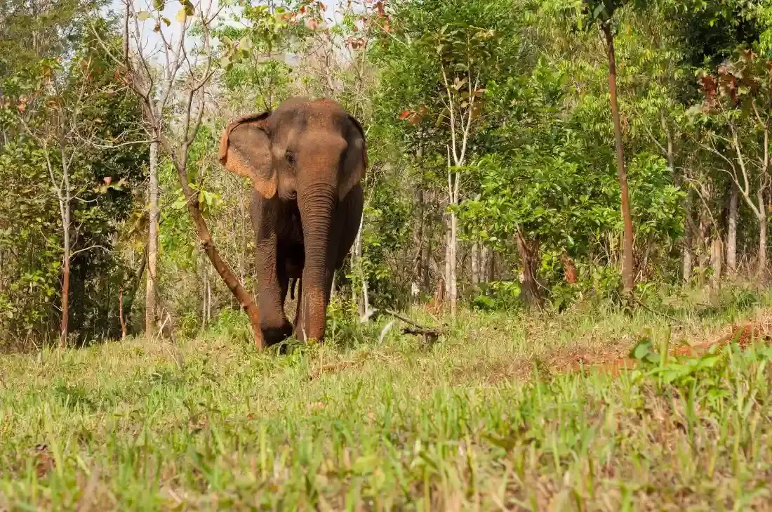 tourhub | Travel Department | Highlights of Bangkok & Cambodia incl. Angkor Wat & Beach Extension 