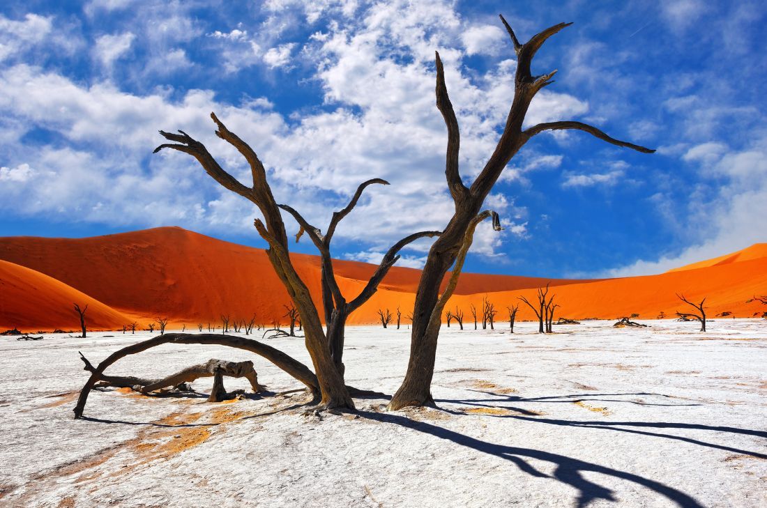 tourhub | Travel Department | Discover Namibia - Sossusvlei & Etosha Park Solo Traveller 