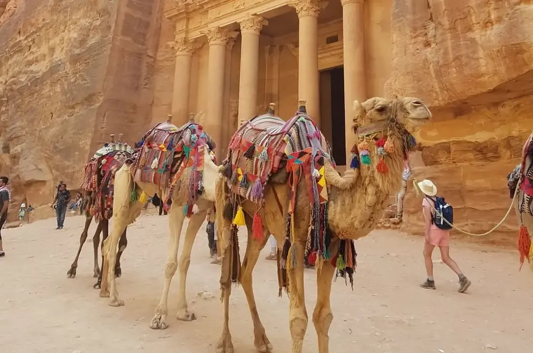 tourhub | TD Active Holidays | Explore Jordan - Petra, Wadi Rum Camp & Red Sea Snorkelling 