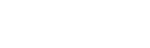 TD IE